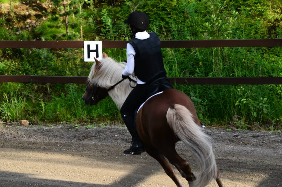 999021 10151465475486417 1626400219 n